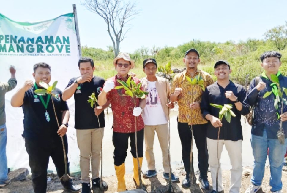 Cirebon Power Tanam Ribuan Mangrove di Pesisir Cirebon