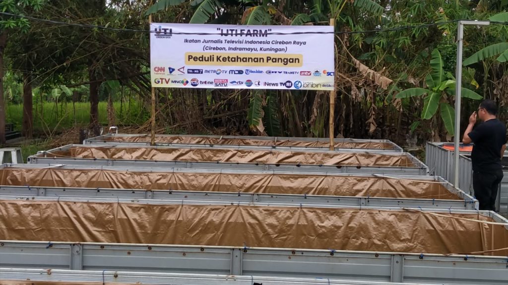 IJTI Farm, Wujud Kepedulian Jurnalis terhadap Ketahanan Pangan