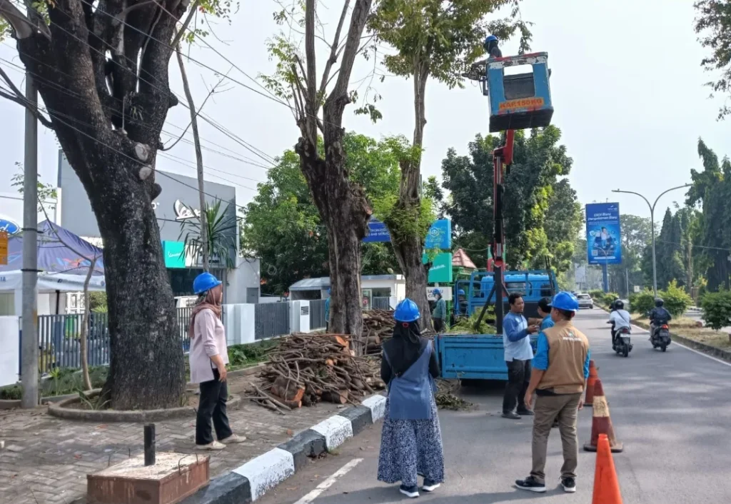 DPRKP Rapihkan Pohon yang Rawan Tumbang di Jalan Protokol