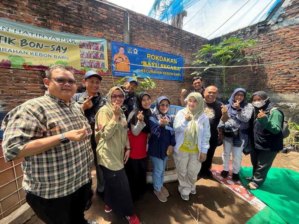 Budidaya Ikan Lele, Ubah Lahan Rumah Menjadi Sumber Protein