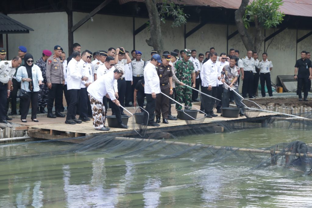 Panen Raya Serentak, untuk Wujudkan Ketahanan Pangan